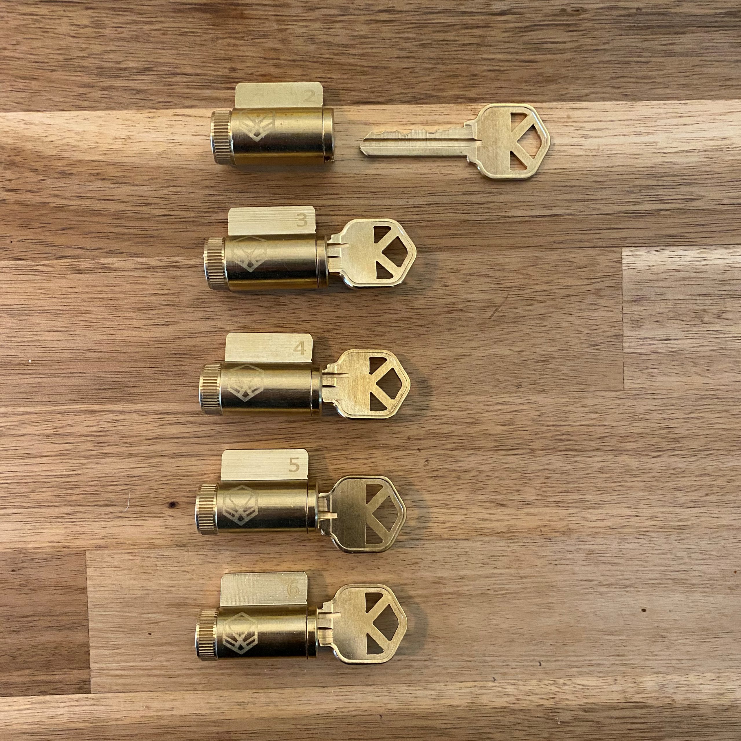 3 progressively pinned locks. Customized  locksport Training Lot 